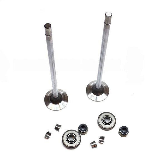 Aftermarket diesel engine part a-23520149, Kit - Valve - Intake