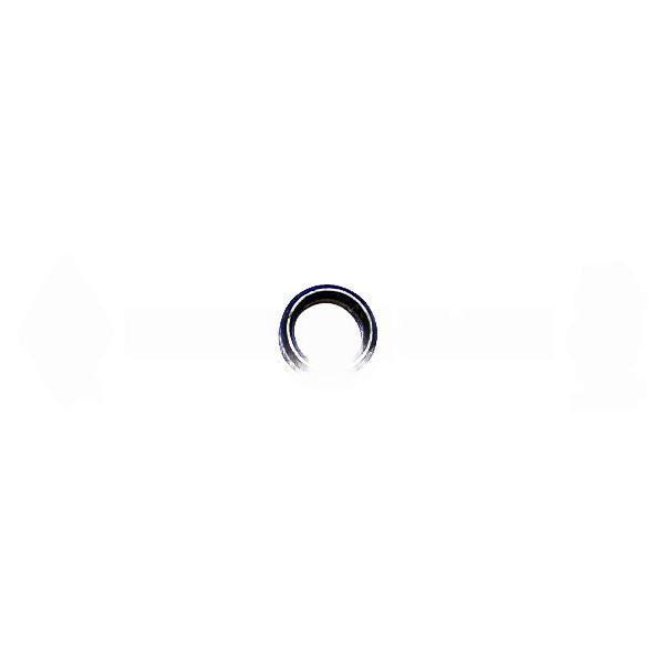Aftermarket diesel engine part a-5176557, Seal Ring