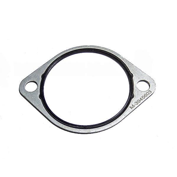Aftermarket diesel engine part m-3945603, Gasket - Water Inlet Conn